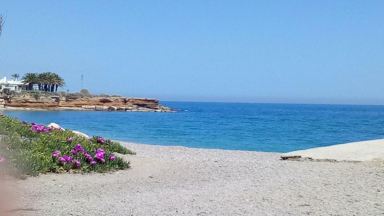 Primera Linea Playa Vinarós 外观 照片